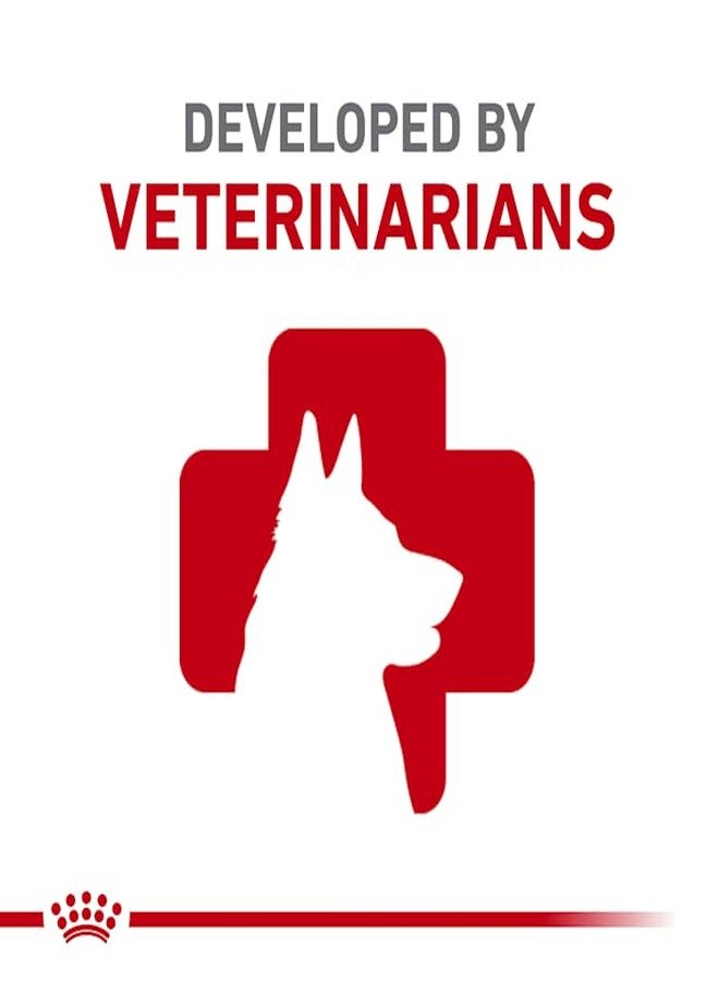 Royal Canin Canine Health Nutrition Beauty Adult Loaf in Sauce Canned Dog Food, 5.2 oz., Case of 24 - Image 3